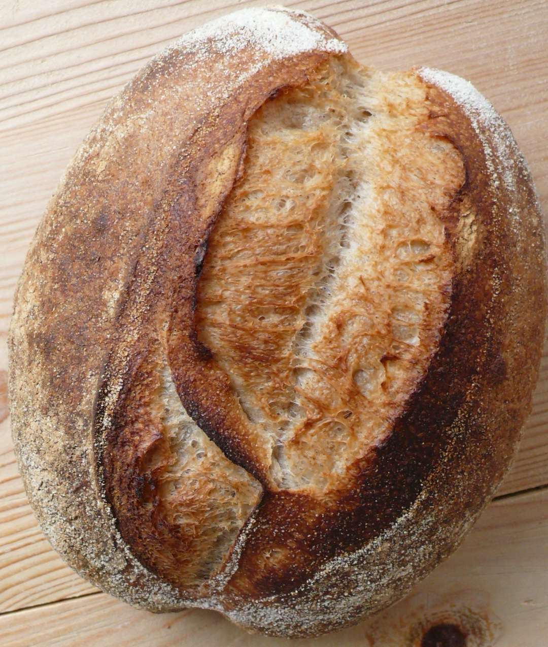 bernd's bakery Schweizer Brote / Swiss Breads