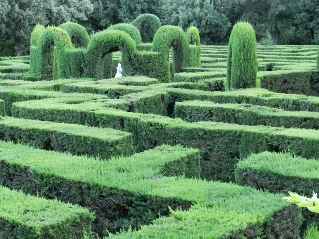 The Phytophactor A Crime Against Nature Poodled Shrubs