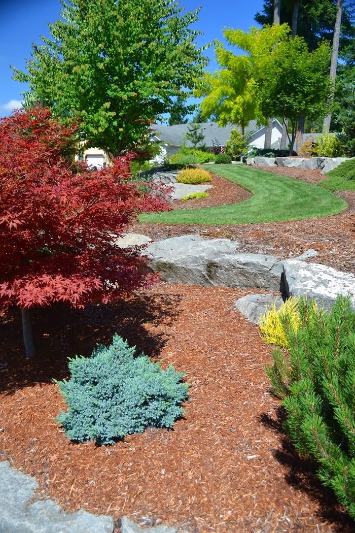 Pics Actually: Low Maintenance Landscaping Ideas