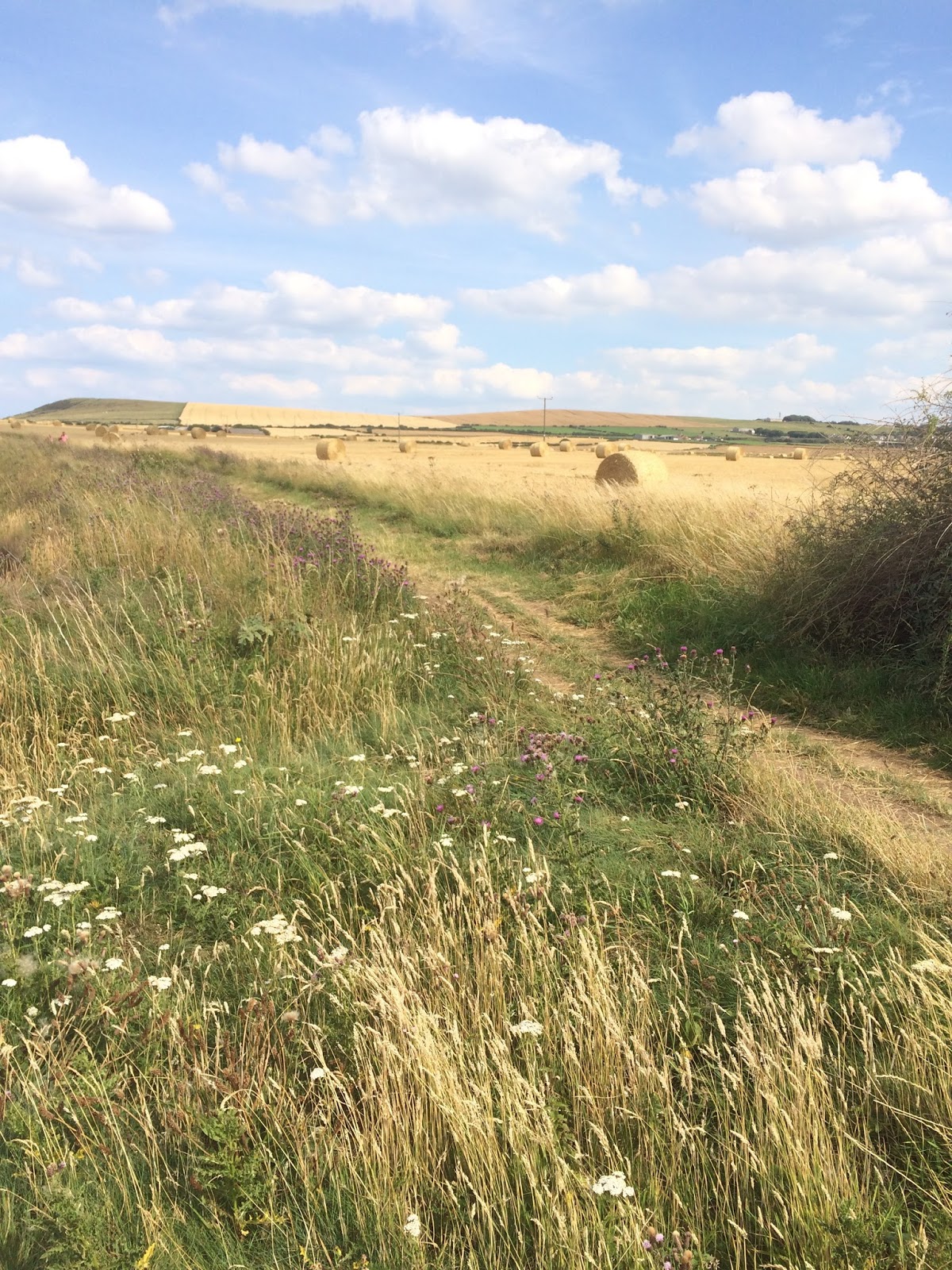 Breadandhyacinths Saltburn By The Sea Coastguard Cottages