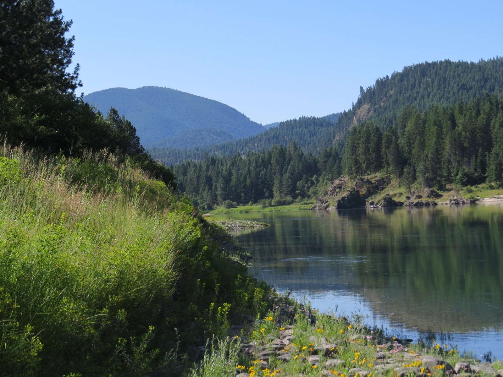 Rena Jones Camping by the Clark Fork River