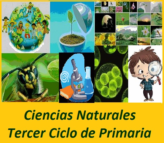 CIENCIAS NATURALES