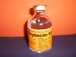 OXYTOCIN