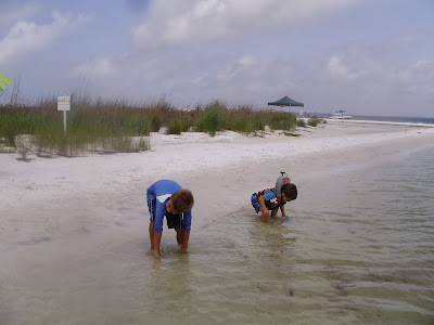 Shell Island near Panama City Beach, Florida