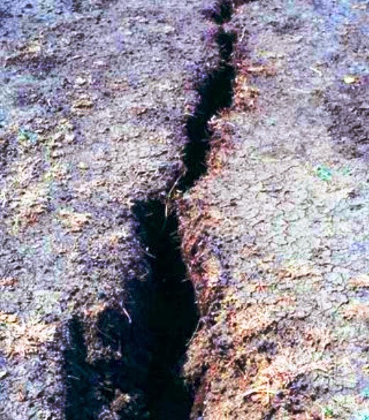 Texture of Black Cotton Soil Civil Engineering World