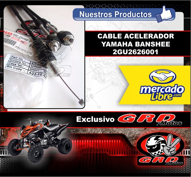 Conoce Nuestros Productos: