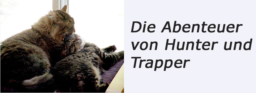 Die Abenteuer von Hunter und Trapper