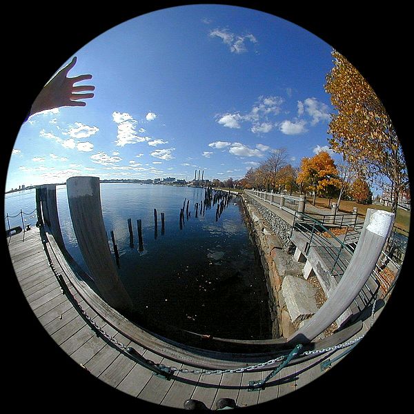 best fisheye