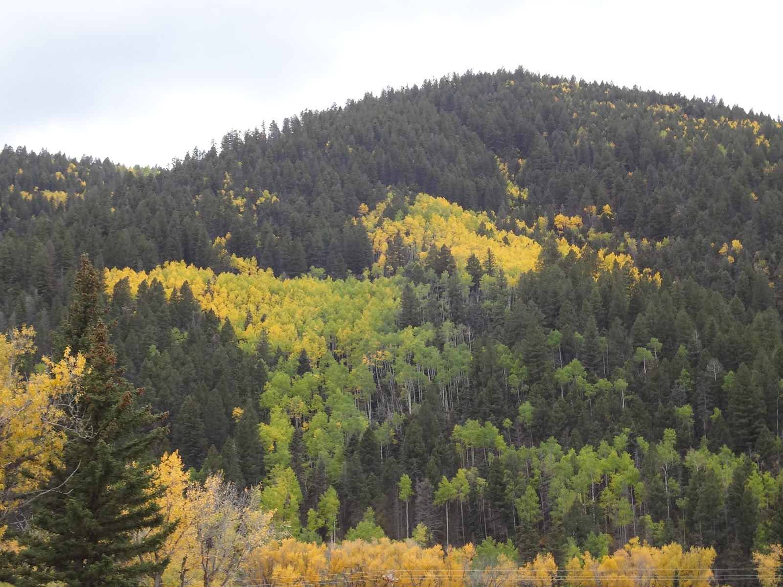 The Journey of Gypsy Rhapsody and Minuet in G ASPENCADE...RED RIVER, NM
