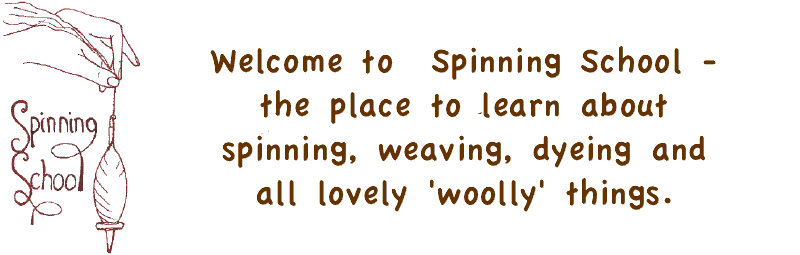 SpinningSchool