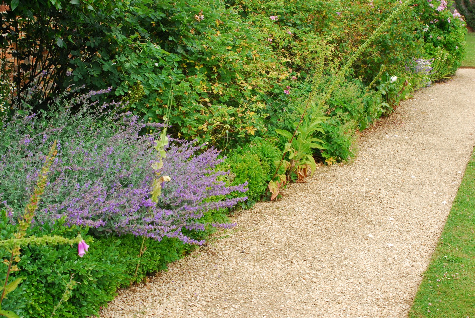 Jardines en paisajes: 2011/11