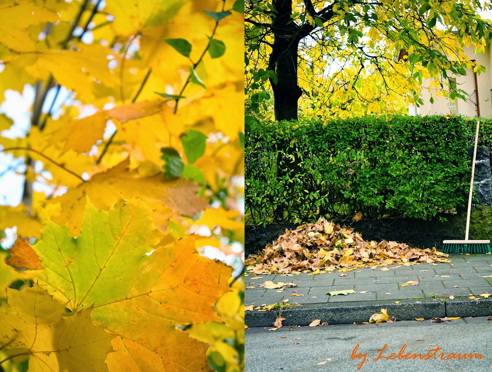 LebensTraum Die letzten Tage des Herbstes….es war einmal…