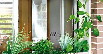 ¿Cómo Colocar un Jardín en la Cocina? : Decoración del Hogar, Diseño de