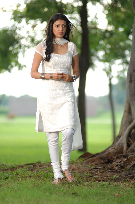 kajal agarwal in white salwar actress pics