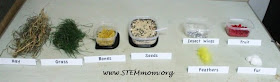 Sample Scat Mix-In table organization: Free lab, labels, and cards from STEMmom.org  