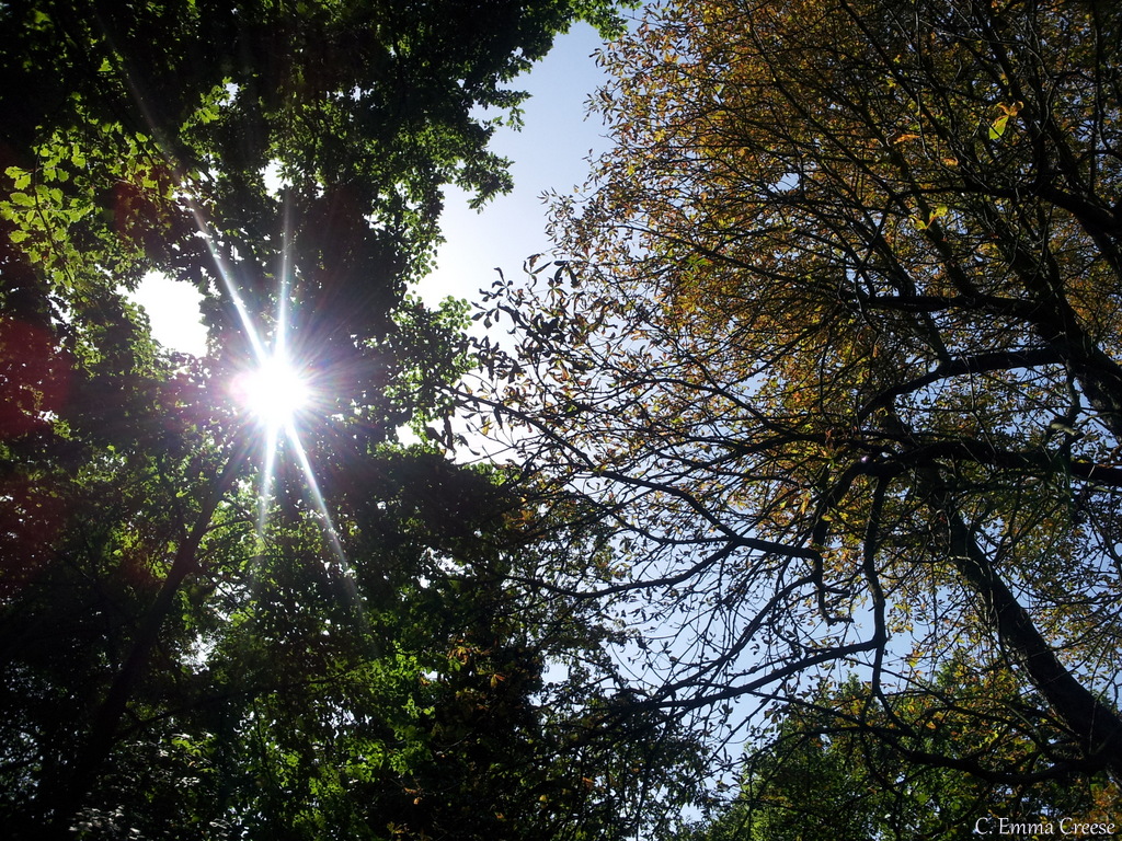 Sqlsaturday 666 Holland 2017 Event Home