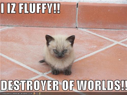 fluffy+destroyer+of+worlds.jpg