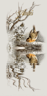 quand je tes rencontrer