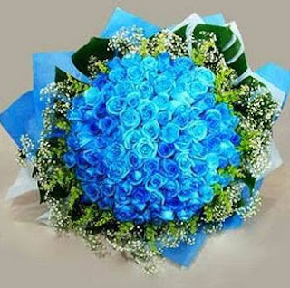 Blue Rose  Flower Wallpapers