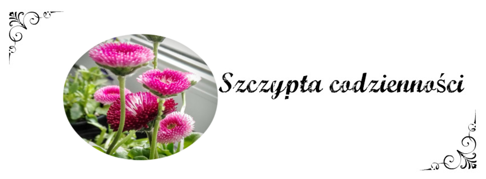 Szczypta codzienności