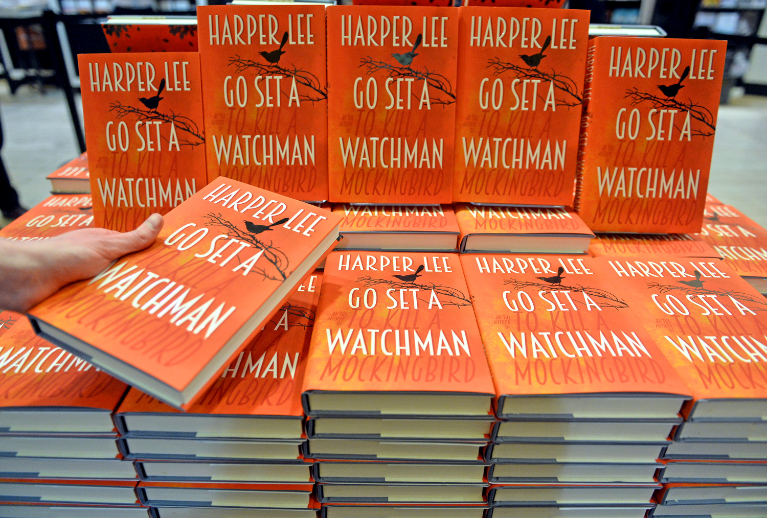 go set a watchman book go set a watchman book