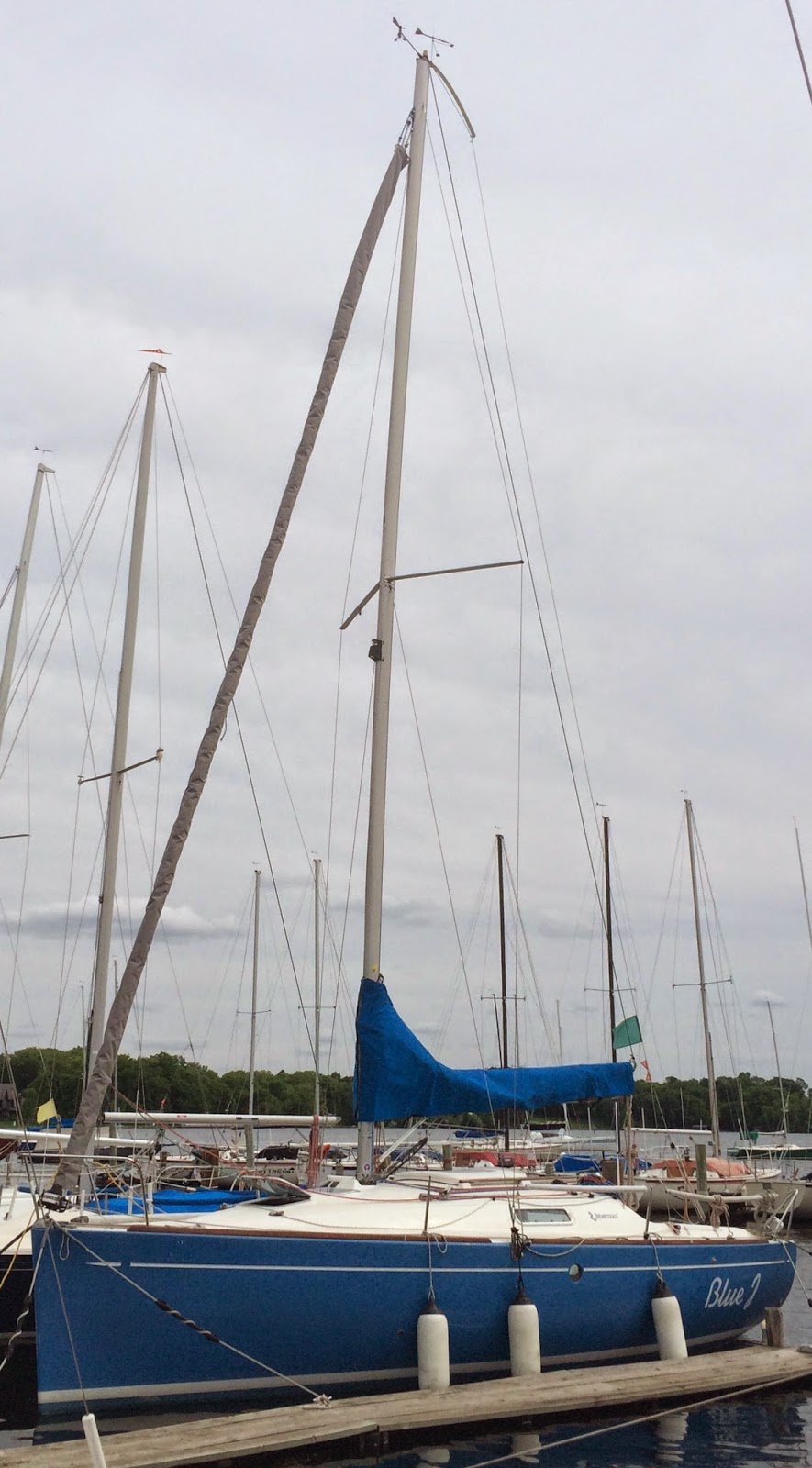 Rare bird A First 260 resource Jib sock sail cover