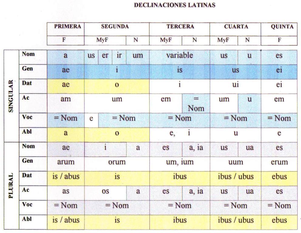 Declinaciones Latinas PRIMERA Y SEGUNDA DECLINACION DEL LATIN