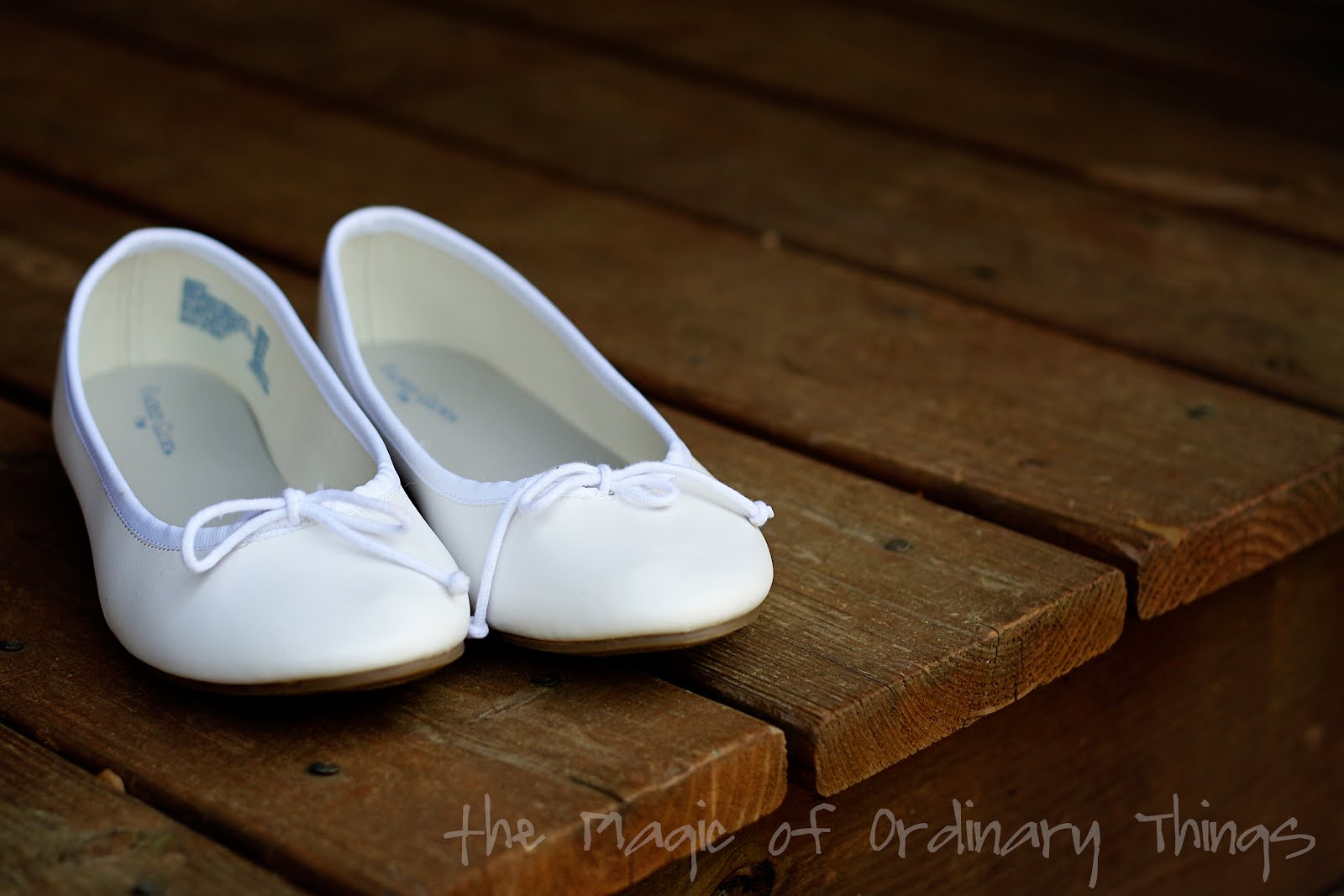 The Magic of Ordinary Things MODGEPODGE SHOES