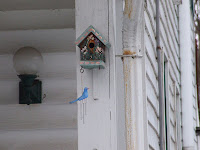 Birdhouse