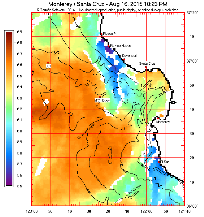 debi shearwaters journeys streaming shearwaters schooling fish terrafin charts
