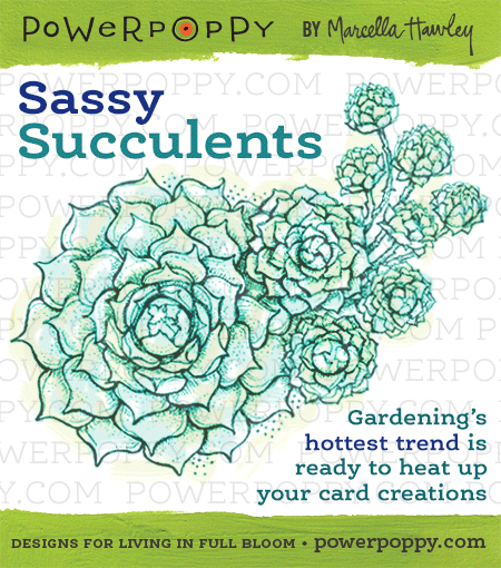 http://powerpoppy.com/products/sassy-succulents