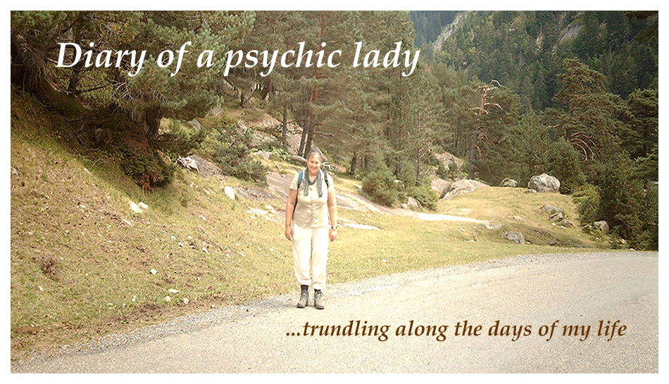 Diary of a psychic lady