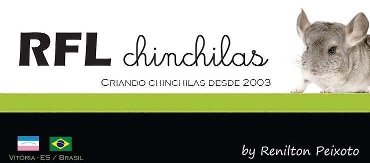 Chinchila Vitória