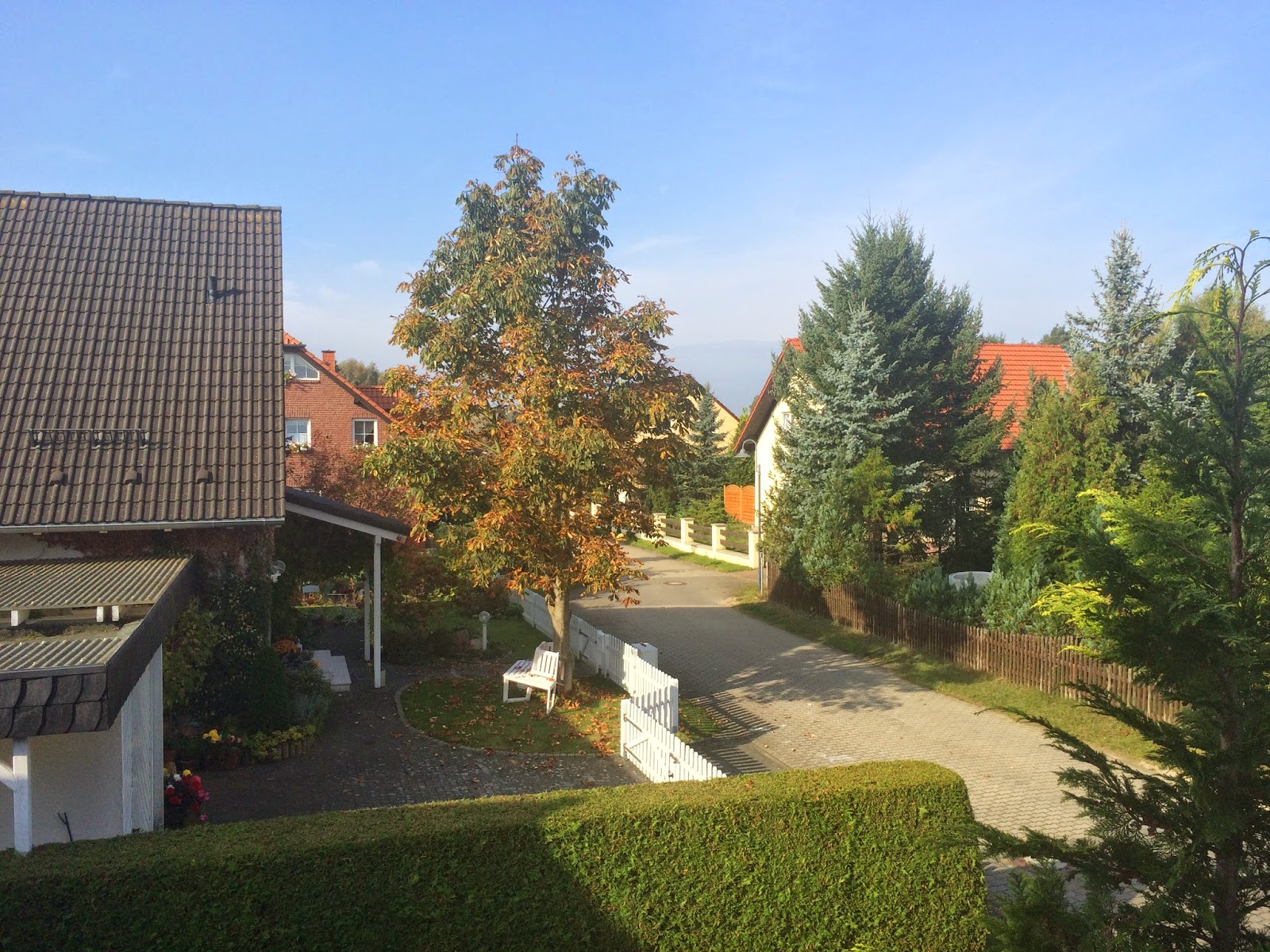 Meas Vintage Alte Fenster Neue Fenster Mea Fenster