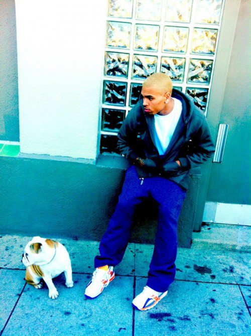 chris brown blonde. Chris Brown rocking londe