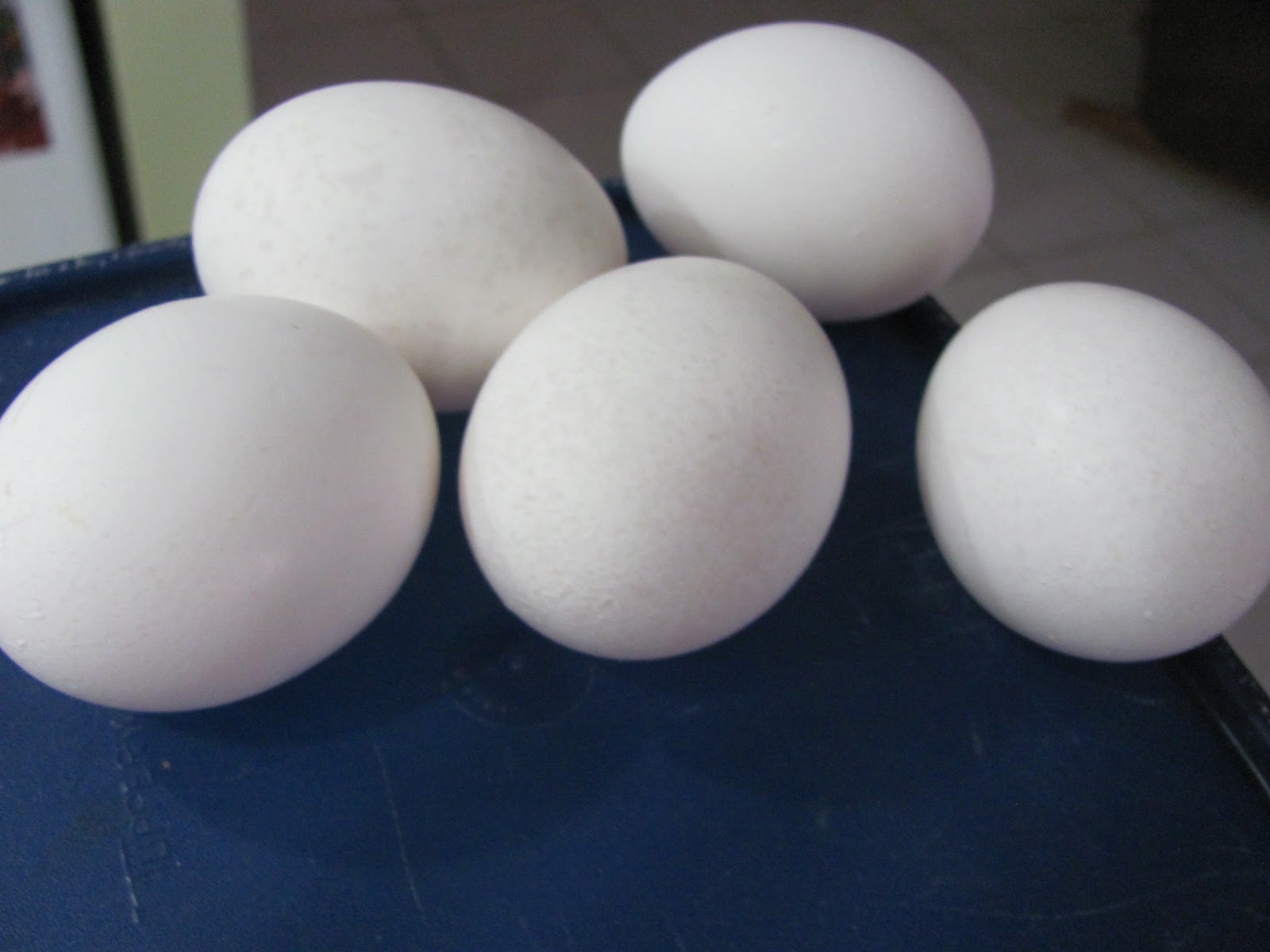 upward running frozen beaters egg