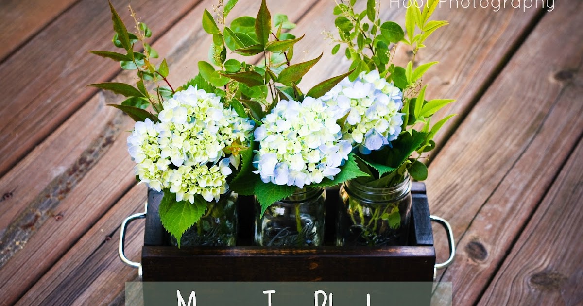 Hoot Designs Mason Jar Planter DIY