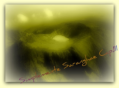 Simplemente Saranghae(Simplemente Amor/그냥 사랑)Cap.III Proyecto