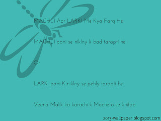 Veena-Malik-Funny-msg-Sms-quote-wallpaper(2013-wallpaper.blogspot.com)
