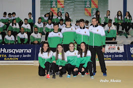 EQUIPO JUNIOR