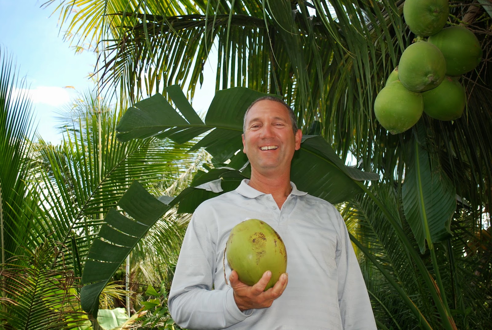 Helen A. Lockey Florida Coconuts, Davie, Fla., Plantation