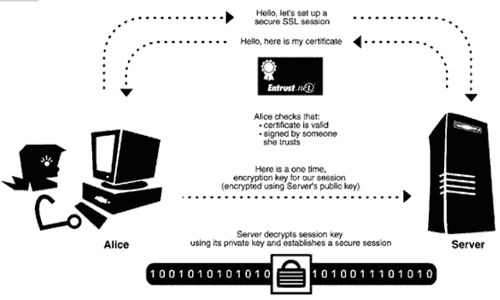 What Is Ssl