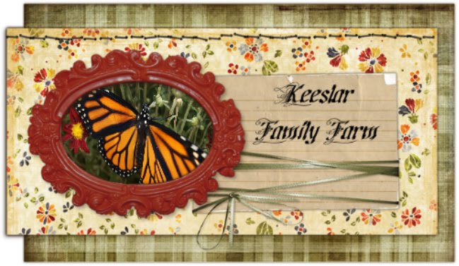keeslarsfamilyfarm