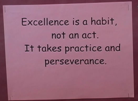 Saying about Excellence... | WiseImage