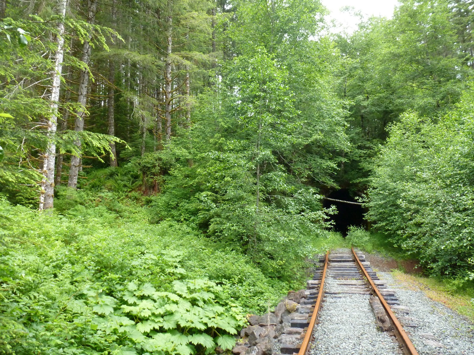 Hiking Oregon Hiking The Salmonberry A tail of the Rails.