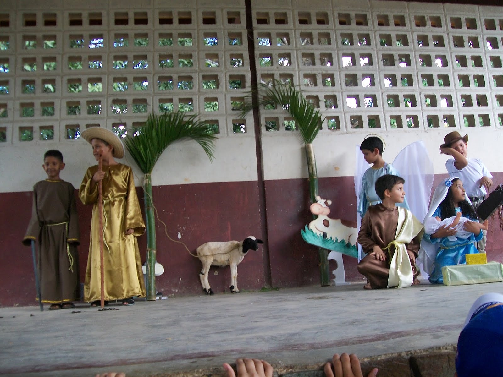 NACIMIENTO VIVIENTE