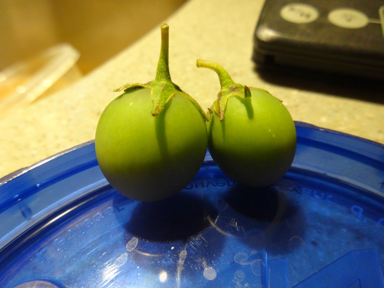 The Perennial Agriculturalist potato fruit