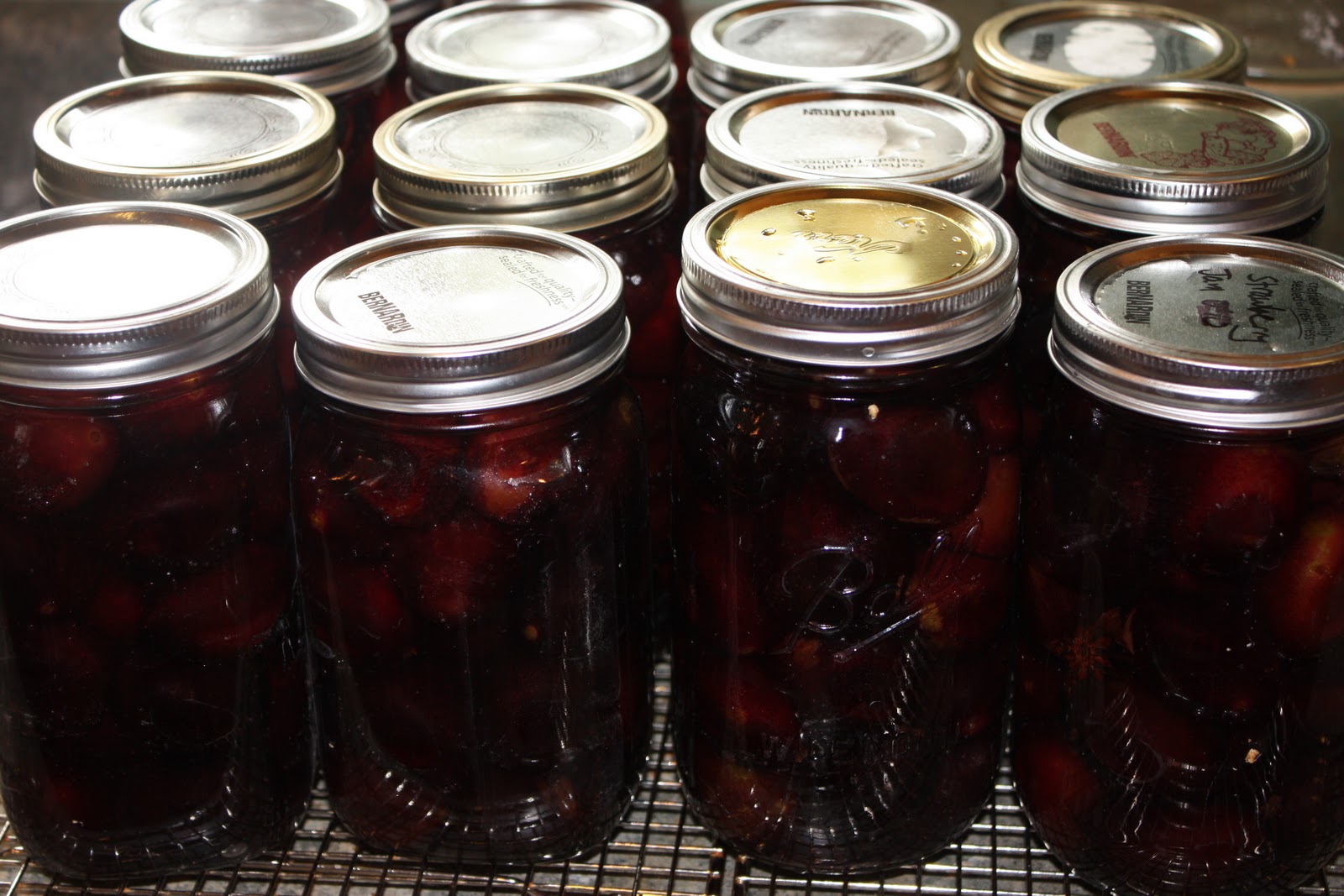 Canning For Beginners Plums!