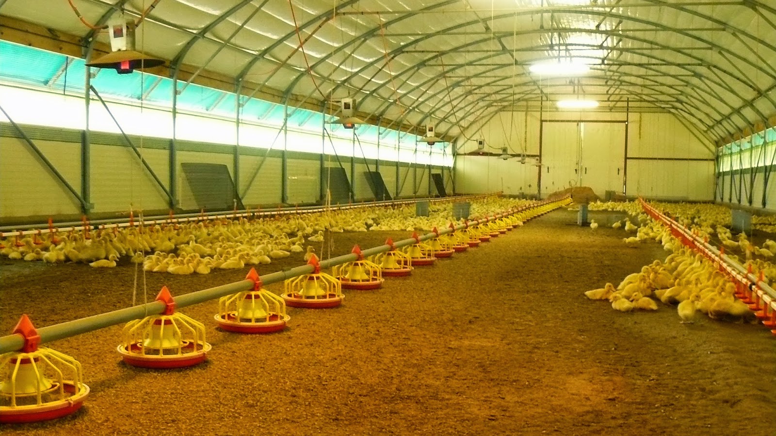 ferme de rencontre farre