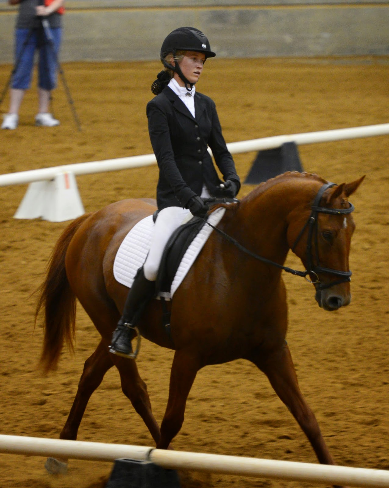 GAIG Region 1 Dressage Championships 2014. Horse Whiskers...